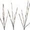 Celebrations Celebrations LED Warm White Lighted Birch Twigs 32 in. Yard Decor BOTWIG50BCHA - alternate 1